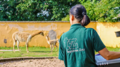 Plans announced for bilingual nursery next to zoo