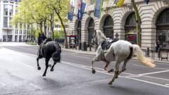 Household Cavalry horses need 'patience to heal'