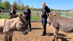 Police officers trained in handling donkeys