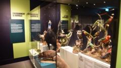 Captain Cook Museum reopens with new exhibitions