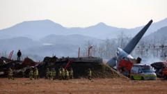 Dozens killed in plane crash at South Korea airport