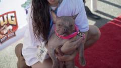 Watch: 'World's Ugliest Dog' crowned in California