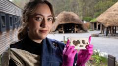 Rare Iron Age textile to go on display for first time