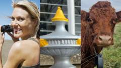 East of England news quiz of the week