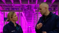 Inside Iceland's futuristic farm growing algae for food