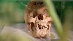 A Namibian skull from the German Empire's murderous campaign in 1904-1908 pictured in 2018