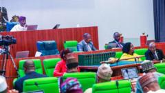 Nigeria House of Representatives during plenary
