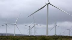 Green jobs contributing £10.2bn to Scotland's economy, says CBI