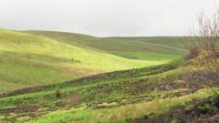 Cynllun i godi fferm wynt ar fynyddoedd Cambria ger Tregaron