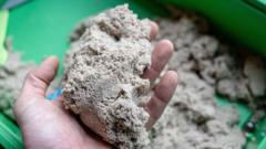 Schools reopen after asbestos results negative