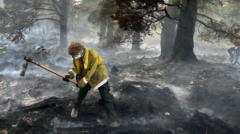 'Apocalyptic' damage as Cairngorms wildfire burns for two weeks