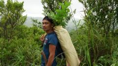 Volunteers carrying saplings for planting