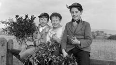 Sut oedd Cymry yn arfer dathlu gŵyl San Steffan?