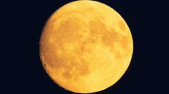 Where is best to see the Buck Moon?