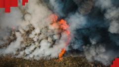 Лісові пожежі в Іспанії. Сотні евакуюють, є загиблі