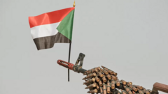 Sudan flag with gun