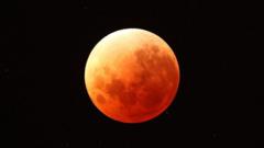 Full Worm and Blood Moon shines in night sky