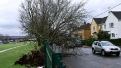 People will die in storm power cuts, councillor says