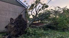 Tornado damages properties and blows over trees