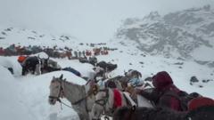 Watch: Race to reach hikers stranded by Mount Everest blizzard