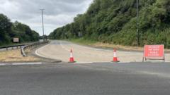 Pedestrian dies after being hit by several vehicles including police car