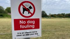 How Did an 8-Year-Old End Up Covered in Dog Waste at Football Practice?