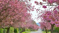 Your pictures of Scotland