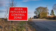 Bird flu prevention zone imposed in England