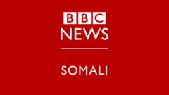 Bbc somali cheap tv live stream