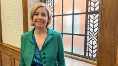 Mayor considers scrapping English language lessons