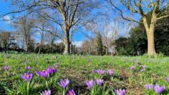UK records warmest day of the year with spring-like weather for some