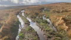 Should We Ban Vehicles on Our Historic Byway?
