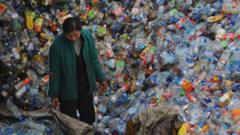 A woman sorts plastic at a dump in China. Millions of tonnes of plastics are wasted globally every year.