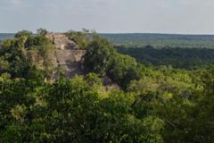 Researcher finds lost city in Mexico jungle by accident