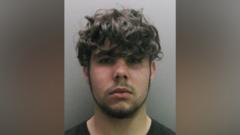 Man who cut down Christmas tree gives no reason
