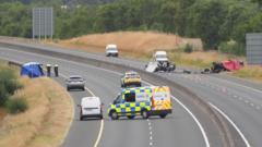Officers told not to pursue car on wrong side of motorway, says Ireland's police body