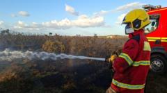 Wildfire tears through New Forest heathland
