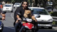 İran'da köpek gezdirme yasağı genişletildi