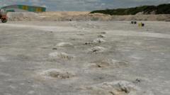 Dinosaur highway 'longest of its kind in the world'