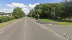 Wife killed in hit-and-run was out visiting grave