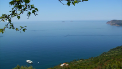 Adalar
