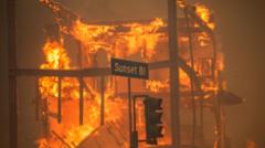 LA wildfire damages set to cost record $135bn