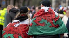 What Are Wales Fans Saying About the Current State of the Game?