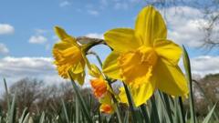 Rising temperatures to bring UK warm start to spring