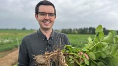 Could 'super potatoes' save the tattie industry?