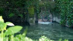 River devoid of life following sewage leak, say residents