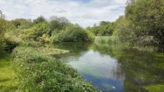 Water firm applies for non-essential use ban after drought