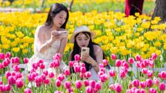 Tourists in Nanjing, China take pictures of flowers.