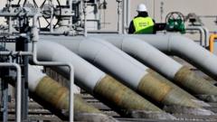 Ukraine Round-up: Putin 'too Healthy' And Russian Gas Supply Resumes ...