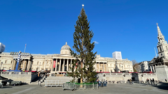 Рождественская елка на Трафальгарской площади